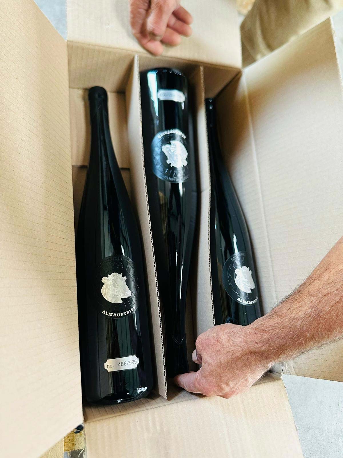 Almauftrieb Grauburgunder Cuvée 2024 (Limitert - Magnum 1,5L)